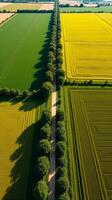 Aerial View of Farmland With Distinct Geometric Patterns Formed by Various Crops photo