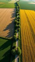 Aerial View of Farmland With Distinct Geometric Patterns Formed by Various Crops photo