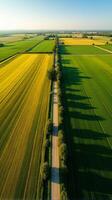 Aerial View of Farmland With Distinct Geometric Patterns Formed by Various Crops photo