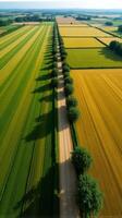 Aerial View of Farmland With Distinct Geometric Patterns Formed by Various Crops photo