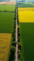 Aerial View of Farmland With Distinct Geometric Patterns Formed by Various Crops photo