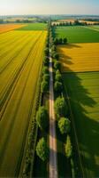 Aerial View of Farmland With Distinct Geometric Patterns Formed by Various Crops photo