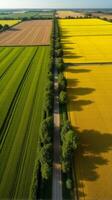 Aerial View of Farmland With Distinct Geometric Patterns Formed by Various Crops photo