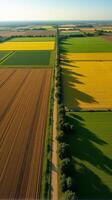 Aerial View of Farmland With Distinct Geometric Patterns Formed by Various Crops photo