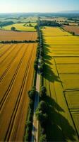 Aerial View of Farmland With Distinct Geometric Patterns Formed by Various Crops photo