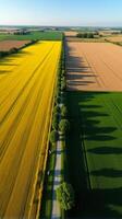 Aerial View of Farmland With Distinct Geometric Patterns Formed by Various Crops photo