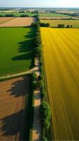 Aerial View of Farmland With Distinct Geometric Patterns Formed by Various Crops photo