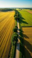 Aerial View of Farmland With Distinct Geometric Patterns Formed by Various Crops photo