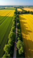 Aerial View of Farmland With Distinct Geometric Patterns Formed by Various Crops photo