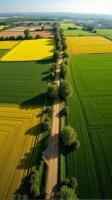 Aerial View of Farmland With Distinct Geometric Patterns Formed by Various Crops photo