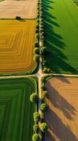 Aerial View of Farmland With Distinct Geometric Patterns Formed by Various Crops photo