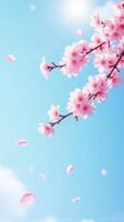 Cherry Blossoms in Full Bloom Against a Clear Blue Sky photo