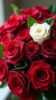 Dense Bouquet Featuring a Vibrant Contrast of Red and White Roses, With Lush Green Leaves Peeking Through the Petals photo