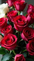 Dense Bouquet Featuring a Vibrant Contrast of Red and White Roses, With Lush Green Leaves Peeking Through the Petals photo