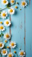 Collection of White and Yellow Daisies With Various Sizes Scattered Across a Rustic Blue Wooden Background photo