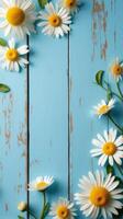 Collection of White and Yellow Daisies With Various Sizes Scattered Across a Rustic Blue Wooden Background photo