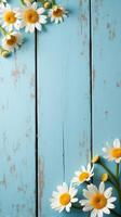 Collection of White and Yellow Daisies With Various Sizes Scattered Across a Rustic Blue Wooden Background photo