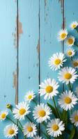 Collection of White and Yellow Daisies With Various Sizes Scattered Across a Rustic Blue Wooden Background photo
