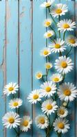 Collection of White and Yellow Daisies With Various Sizes Scattered Across a Rustic Blue Wooden Background photo