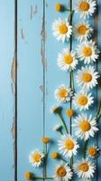 Collection of White and Yellow Daisies With Various Sizes Scattered Across a Rustic Blue Wooden Background photo