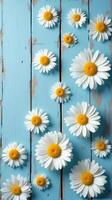 Collection of White and Yellow Daisies With Various Sizes Scattered Across a Rustic Blue Wooden Background photo