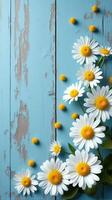 Collection of White and Yellow Daisies With Various Sizes Scattered Across a Rustic Blue Wooden Background photo