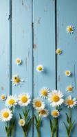 Collection of White and Yellow Daisies With Various Sizes Scattered Across a Rustic Blue Wooden Background photo