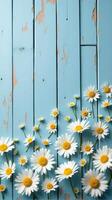Collection of White and Yellow Daisies With Various Sizes Scattered Across a Rustic Blue Wooden Background photo