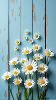 Collection of White and Yellow Daisies With Various Sizes Scattered Across a Rustic Blue Wooden Background photo