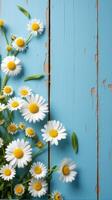 Collection of White and Yellow Daisies With Various Sizes Scattered Across a Rustic Blue Wooden Background photo