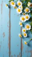 Collection of White and Yellow Daisies With Various Sizes Scattered Across a Rustic Blue Wooden Background photo
