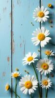 Collection of White and Yellow Daisies With Various Sizes Scattered Across a Rustic Blue Wooden Background photo