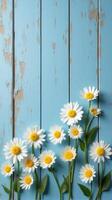 Collection of White and Yellow Daisies With Various Sizes Scattered Across a Rustic Blue Wooden Background photo