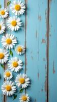 Collection of White and Yellow Daisies With Various Sizes Scattered Across a Rustic Blue Wooden Background photo