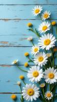 Collection of White and Yellow Daisies With Various Sizes Scattered Across a Rustic Blue Wooden Background photo