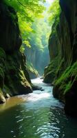 Serene and Narrow River Gorge With Lush Greenery, Sunlight Filtering Through the Foliage, Highlighting the Moss Covered Rocks photo