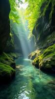 Serene and Narrow River Gorge With Lush Greenery, Sunlight Filtering Through the Foliage, Highlighting the Moss Covered Rocks photo
