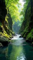 Serene and Narrow River Gorge With Lush Greenery, Sunlight Filtering Through the Foliage, Highlighting the Moss Covered Rocks photo