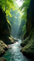 Serene and Narrow River Gorge With Lush Greenery, Sunlight Filtering Through the Foliage, Highlighting the Moss Covered Rocks photo