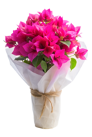 a bouquet of Bougainvillea flower in a white package isolated on transparent background png