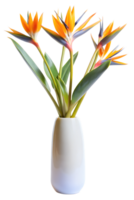 Bird of Paradise flowers in a white ceramic vase, minimalist style isolated on transparent background png