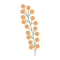 Hand drawn spring flower isolated on the white vector