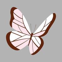 Flat butterflies flying illustration on gray background vector