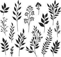 Leaf branch wreath rustic set. Hand drawn sketch doodle style leaf vector