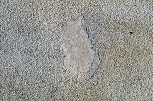 Abstract Background from old grey concrete texture photo