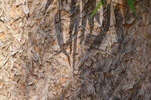 OSB board texture. Building panels from wooden chips. Simple pressed chipboard pattern. Wood texture photo