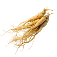 ginseng isolated on background png