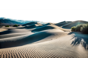 illustration style of Desert dunes with soft shadows, There is a little bit of grass png