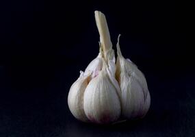 Garlic close up on black board,shallow depth of field, selective focus, macro photo