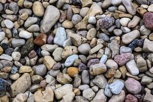 Gravel pattern of colored stones with shell. photo